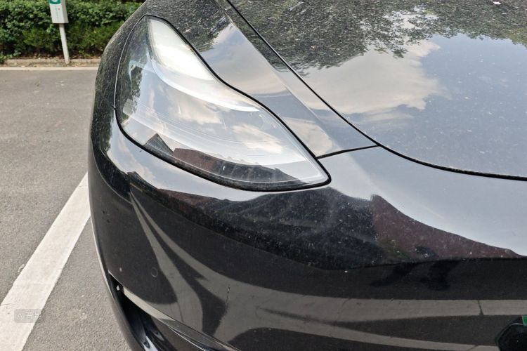 Tesla Model Y 2021 #8 Tesla Model Y 2021 car image #8