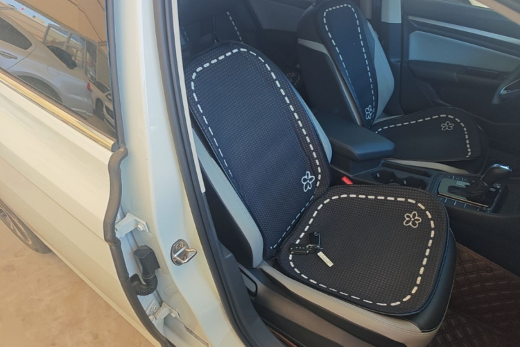 Volkswagen Bora 2023 car image #24