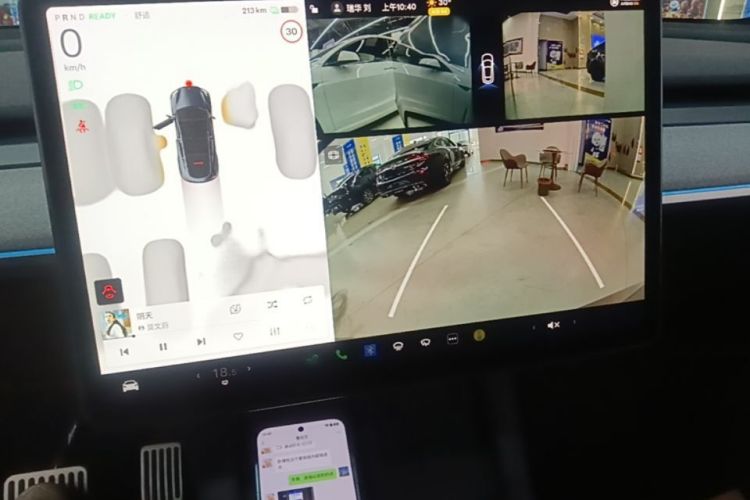Tesla Model Y 2024 car image #13