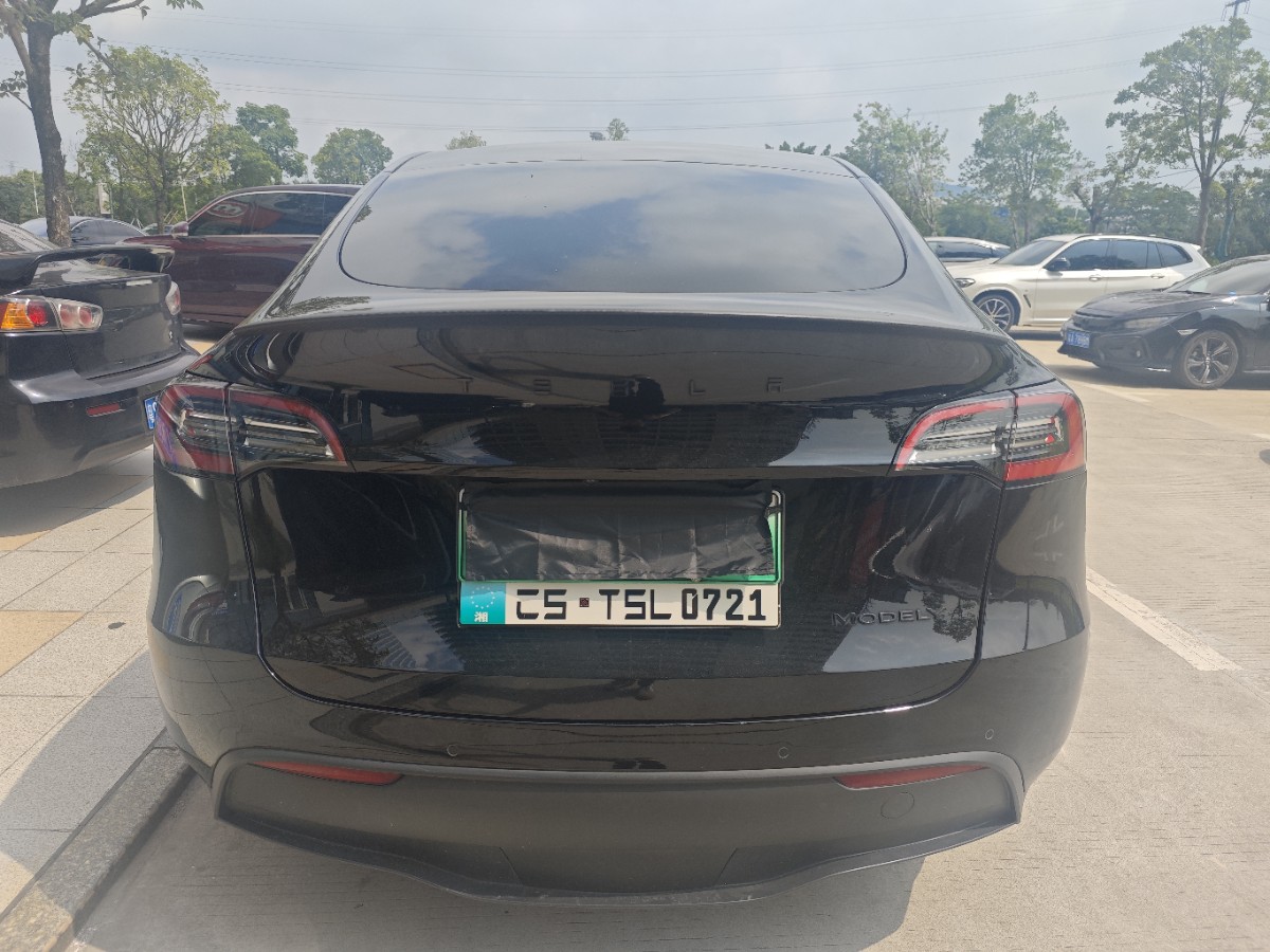 Tesla Model Y 2021 car image #7