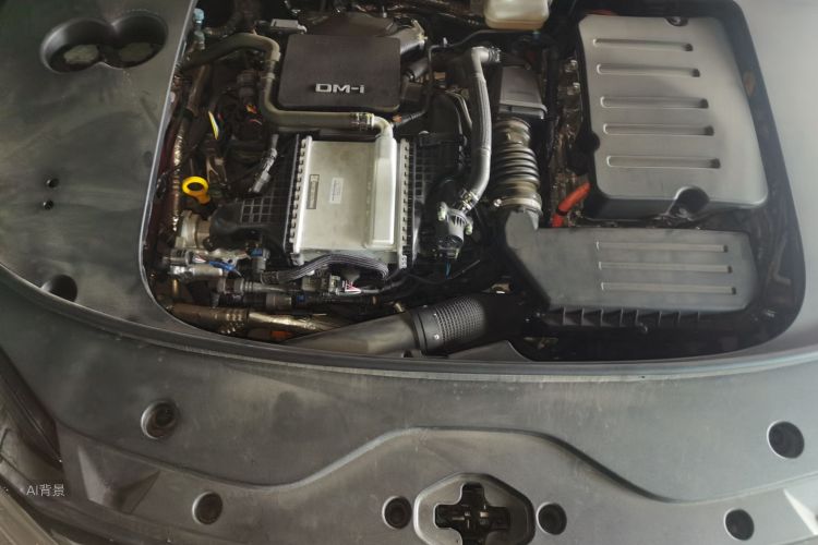 BYD Han 2024 car image #22