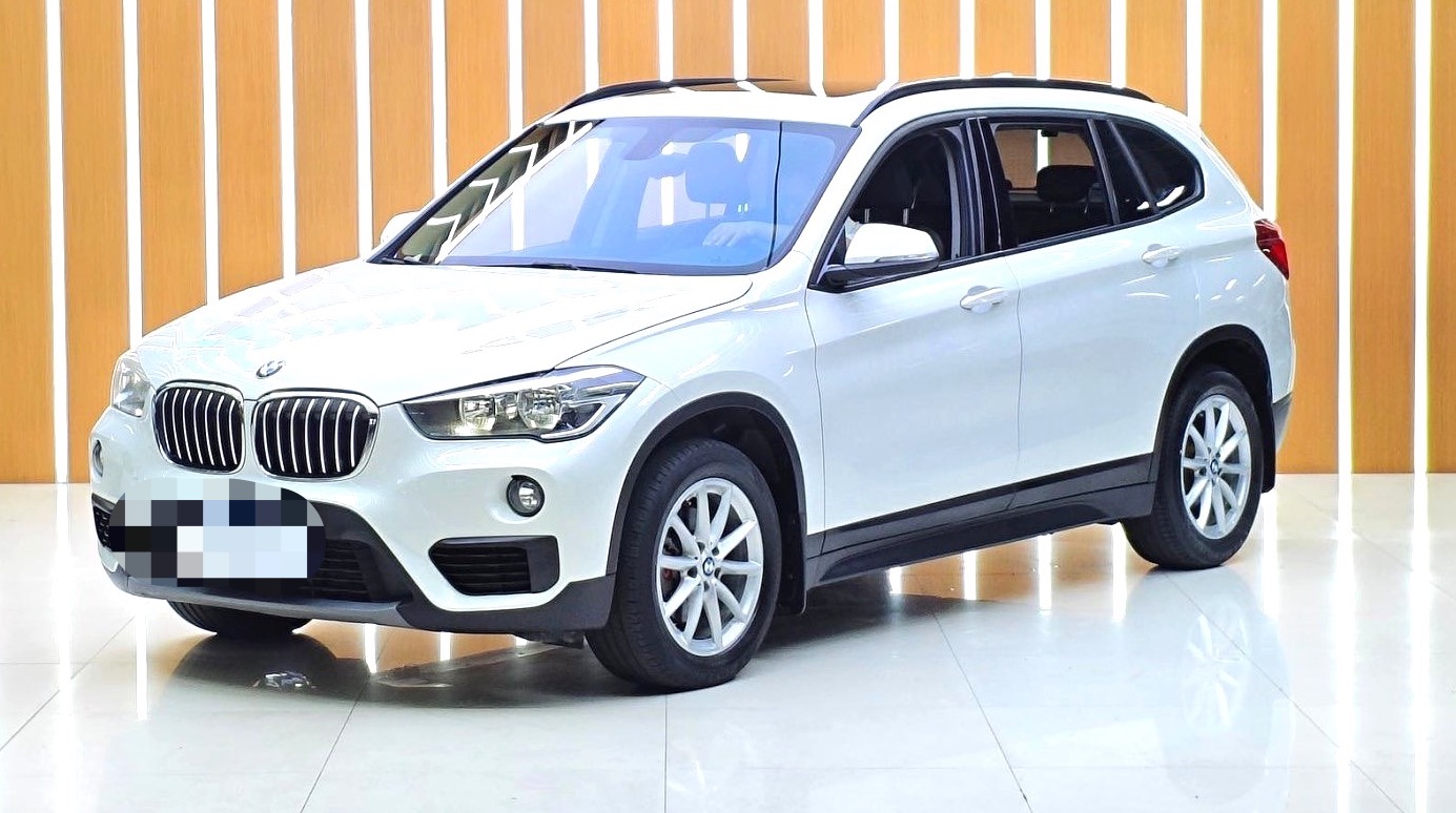 BMW X1 2019 immagine di auto 