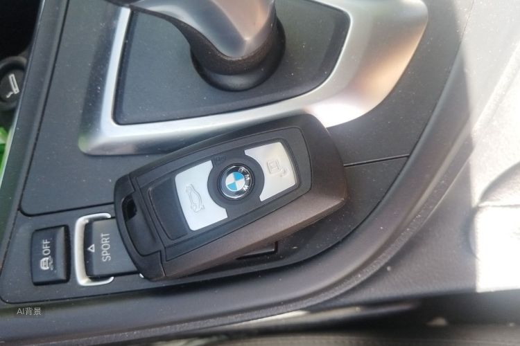 BMW 3 Series 2017 car image #10