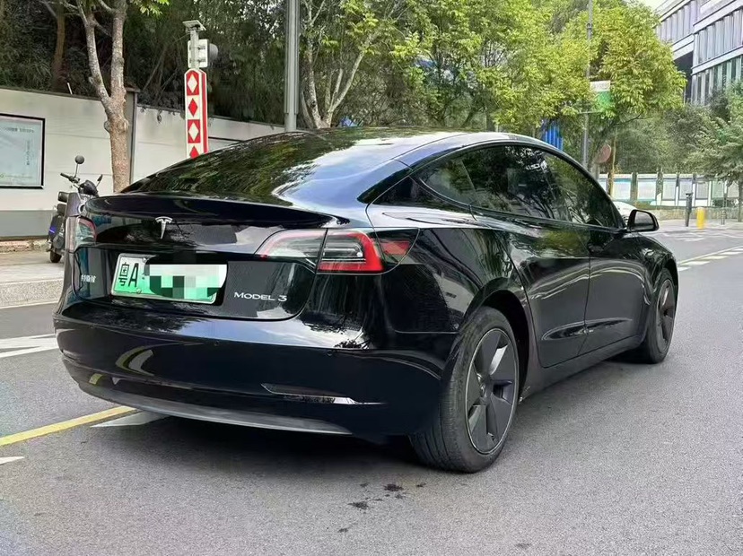 Tesla Model 3 2021 car image #4