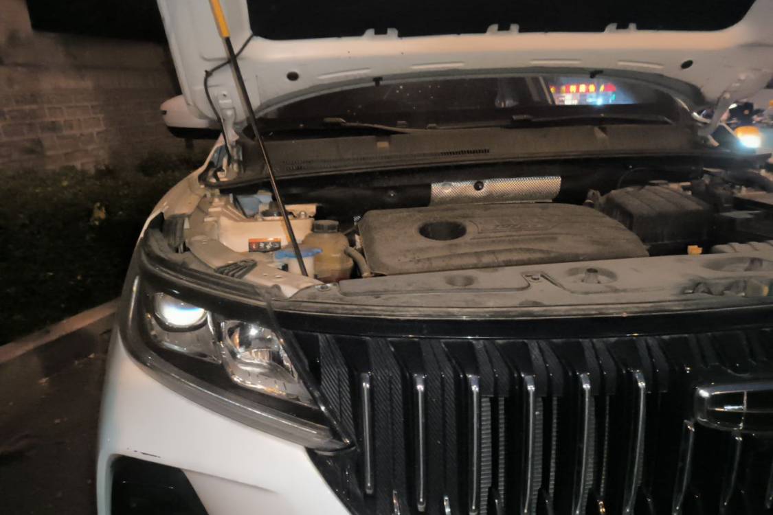 GEELY Vision X6 2021 immagine di auto #11