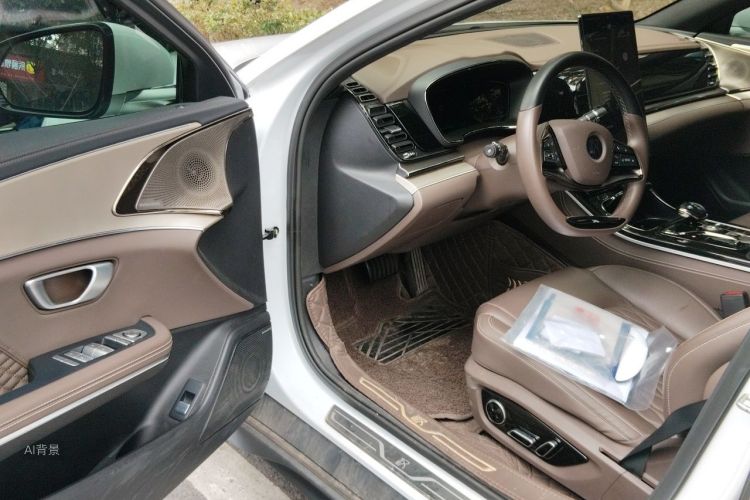 BYD Han 2023 #18 BYD Han 2023 immagine di auto #18