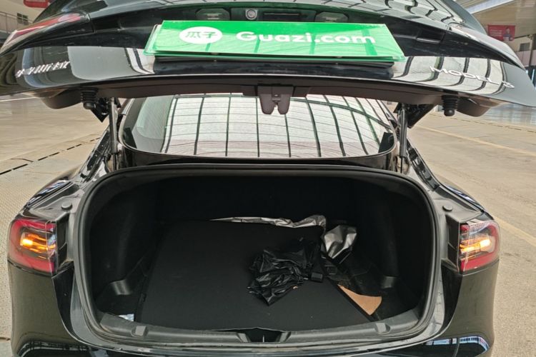 Tesla Model 3 2020 car image #21