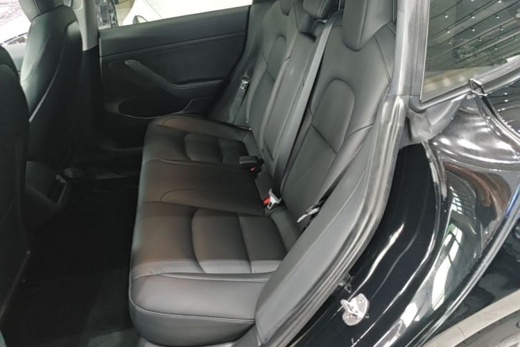 Tesla Model 3 2021 car image #17