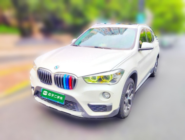 BMW X1 2019 car image 