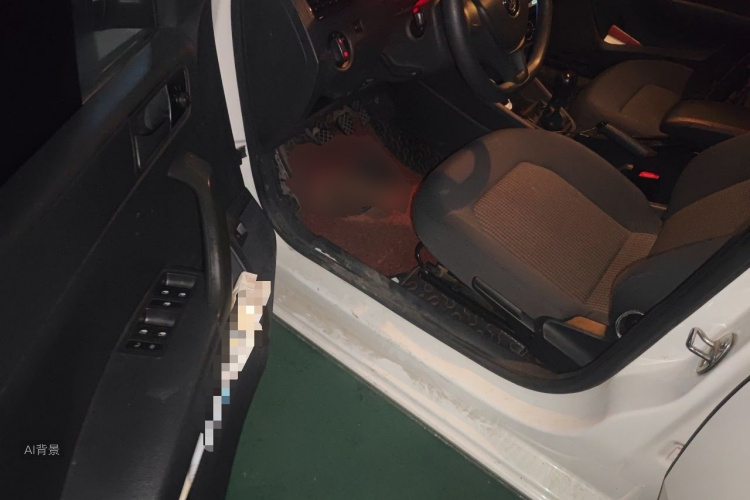 Volkswagen Santana 2019 car image #18