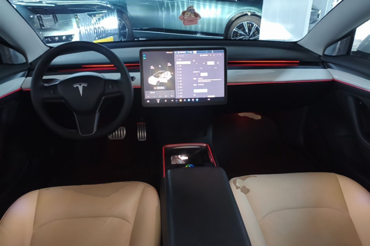 Tesla Model 3 2021 car image #11
