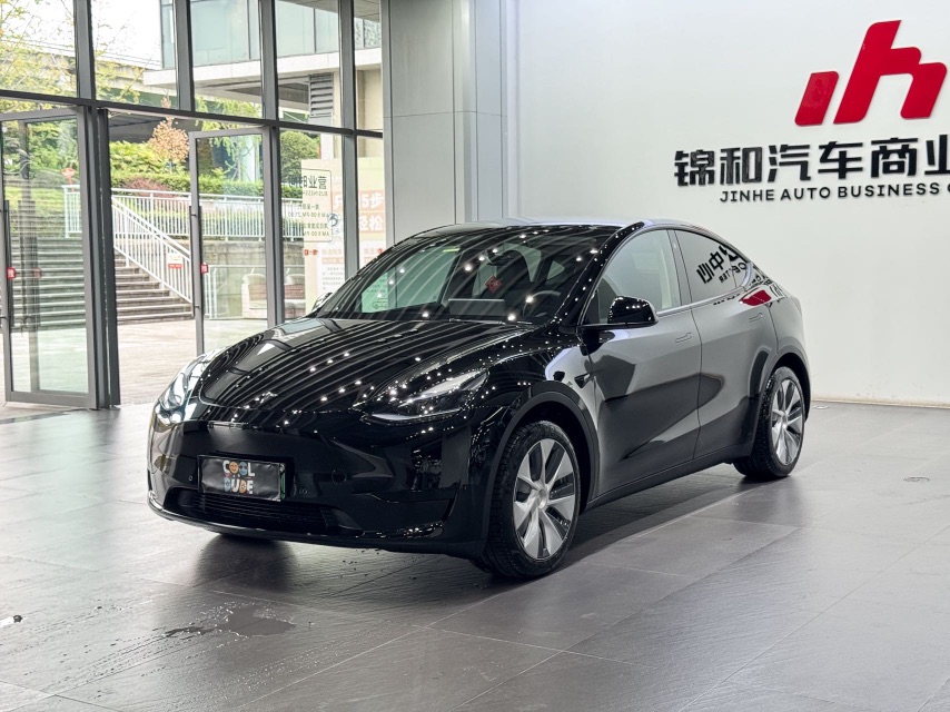 Tesla Model Y 2022 Tesla Model Y 2022 car image