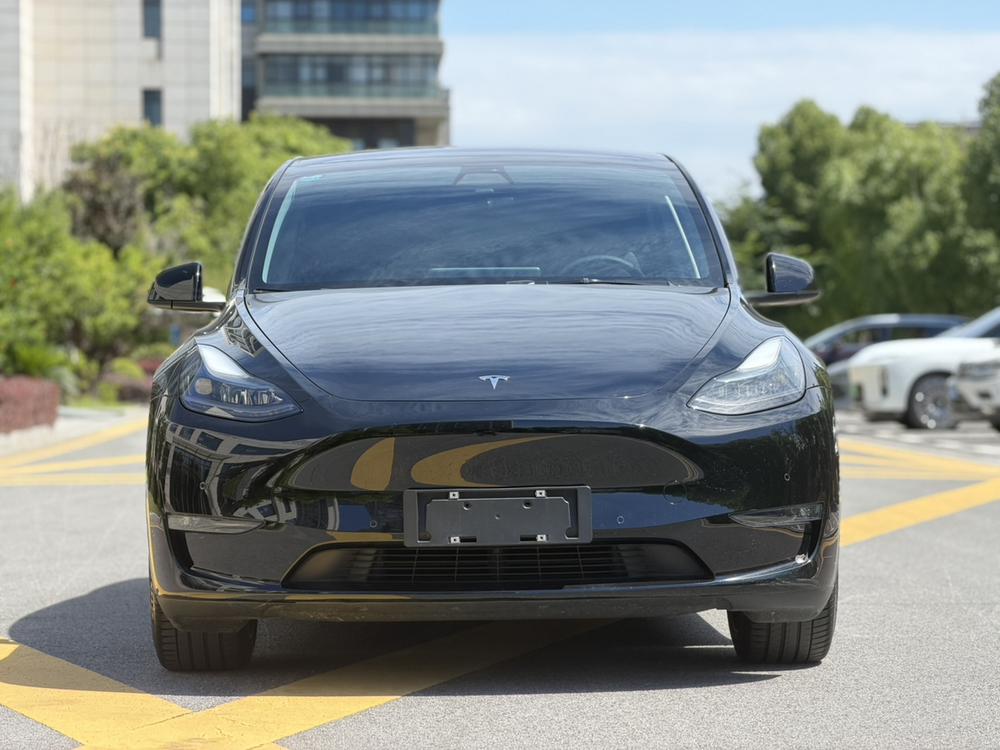 Tesla Model Y 2021 immagine di auto #2