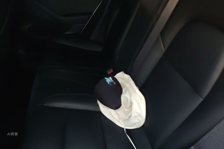 Tesla Model 3 2020 #19 Tesla Model 3 2020 car image #19
