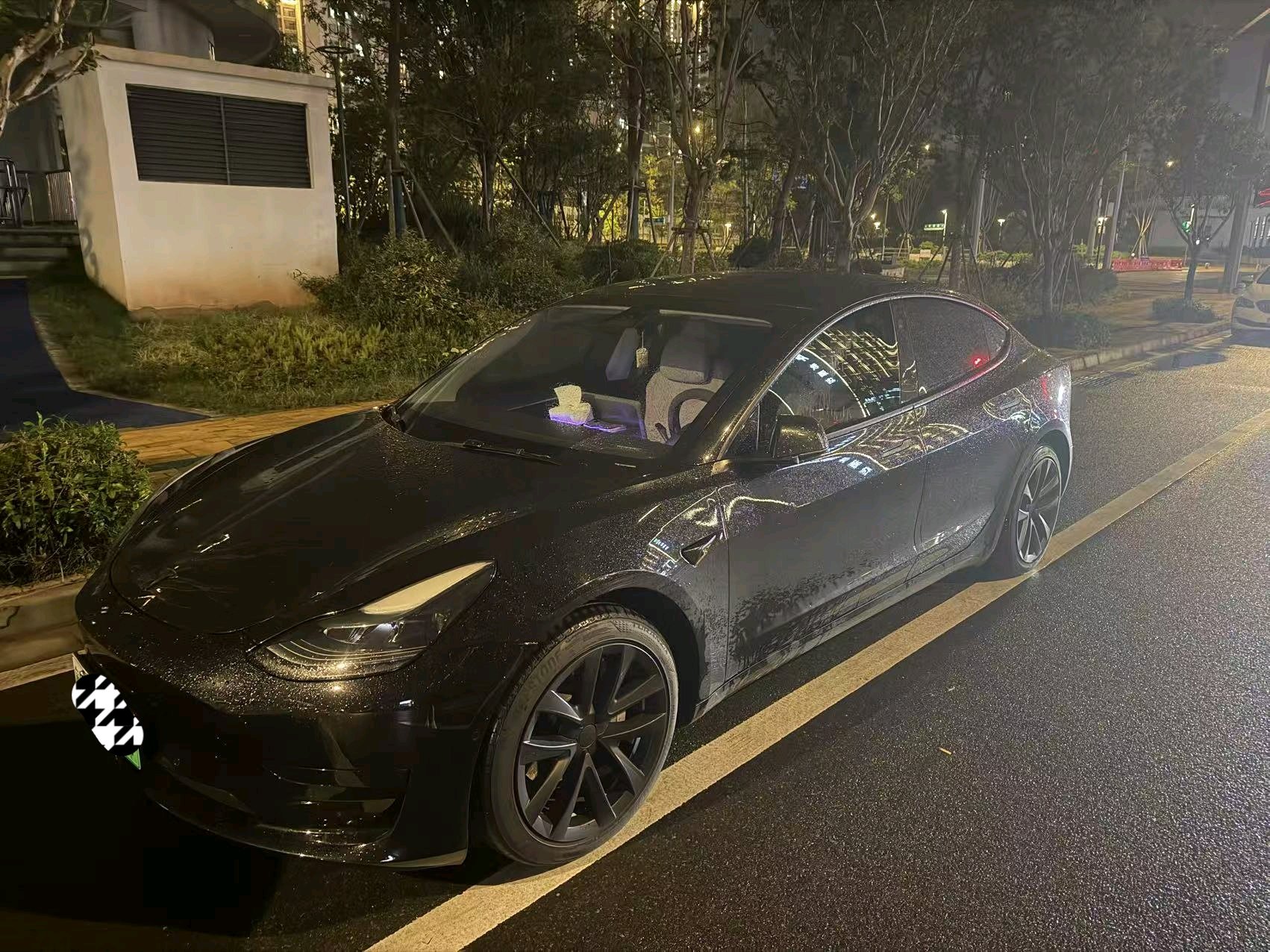 Tesla Model 3 2022 car image 