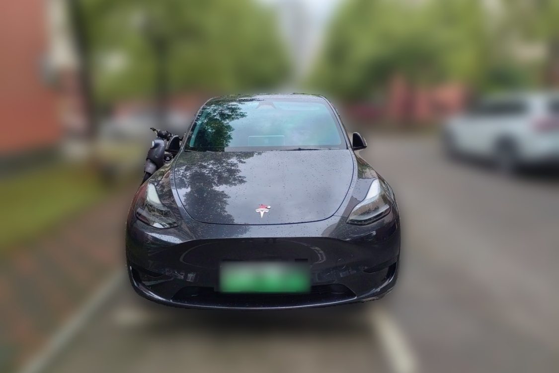 Tesla Model Y 2024 car image #5