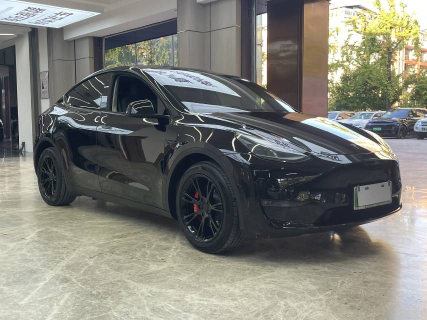 Tesla Model Y 2021 car image #3