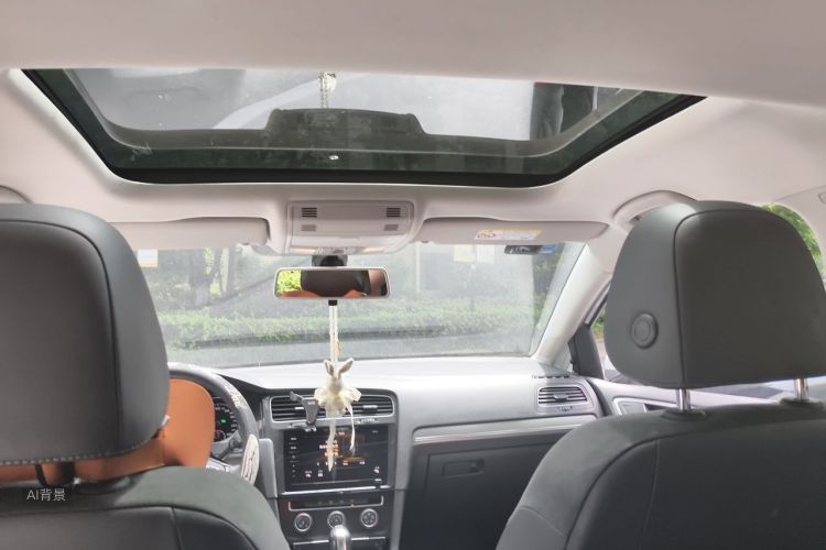 Volkswagen Golf 2020 car image #20