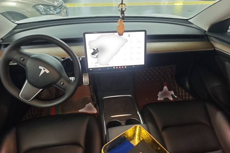 Tesla Model 3 2021 #10 Tesla Model 3 2021 car image #10