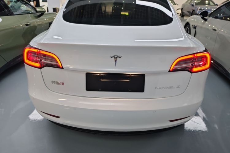 Tesla Model 3 2020 immagine di auto #4