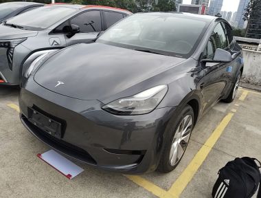 Tesla Model Y 2022 Tesla Model Y 2022 car image