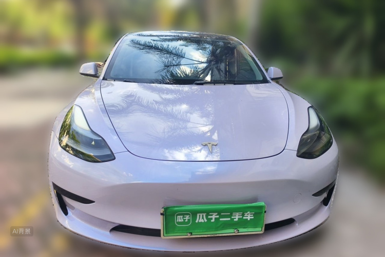 Tesla Model 3 2021 #3 Tesla Model 3 2021 immagine di auto #3