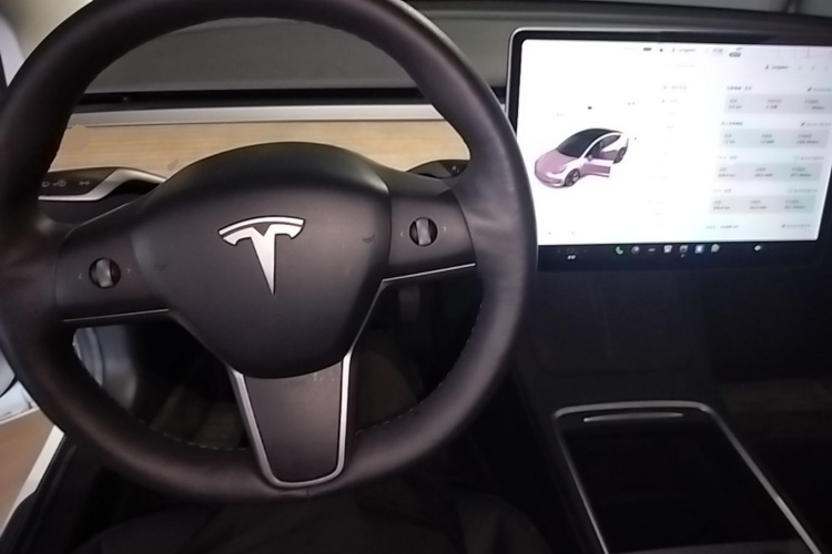 Tesla Model 3 2021 #10 Tesla Model 3 2021 immagine di auto #10