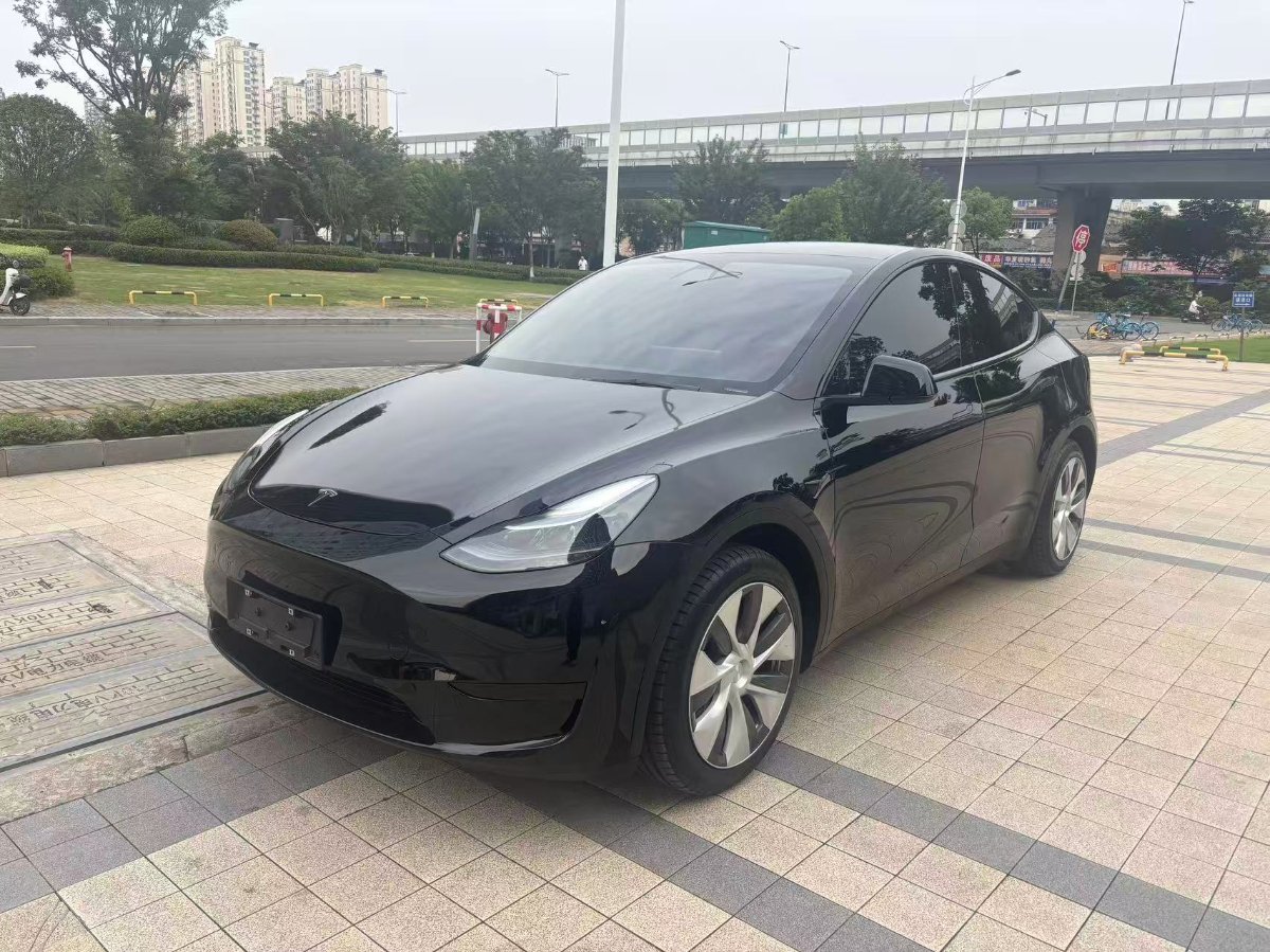 Tesla Model Y 2023 car image #3