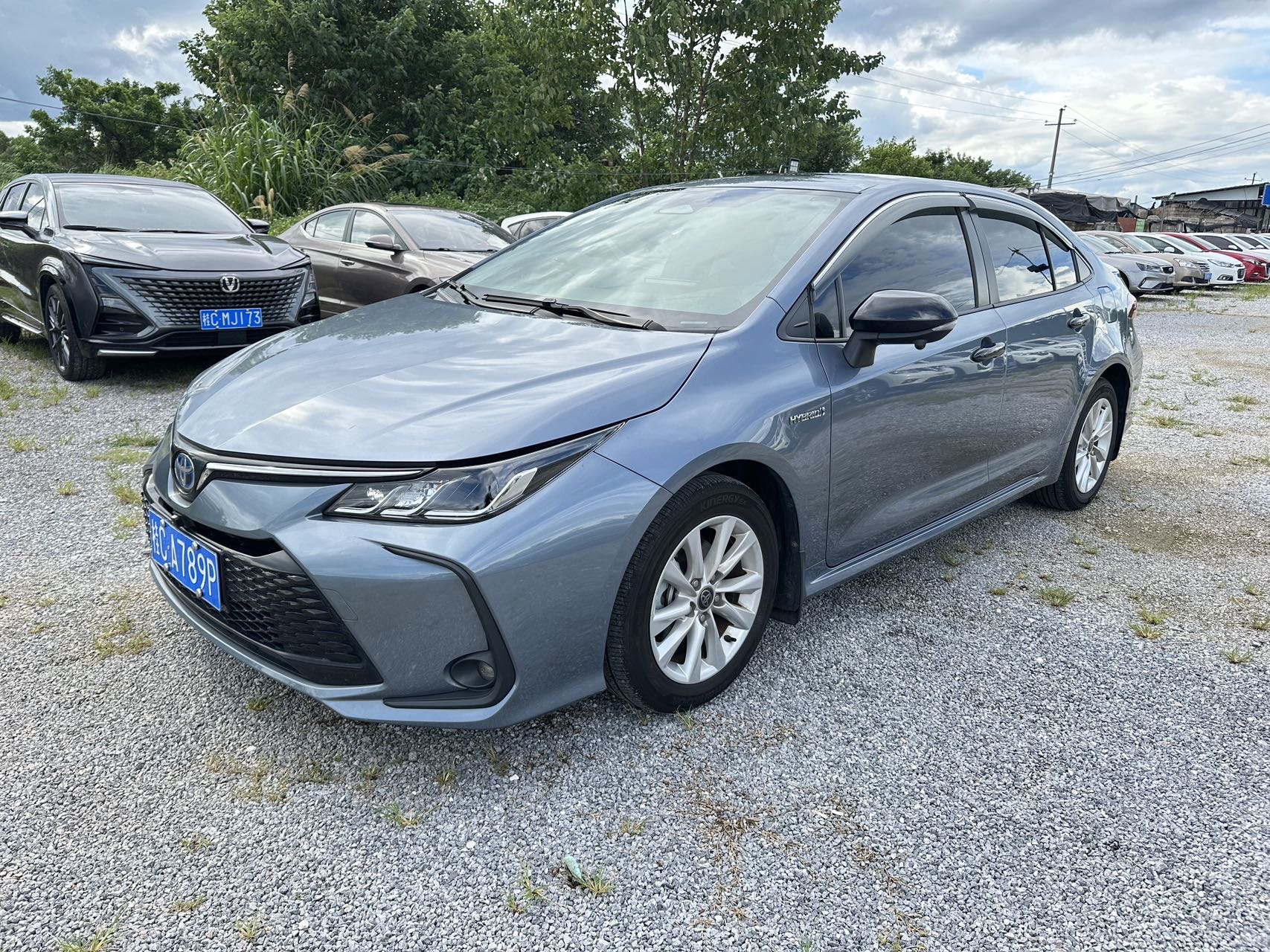 Toyota Corolla 2023 Toyota Corolla 2023 car image