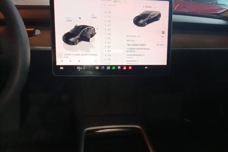 Tesla Model 3 2022 #13 Tesla Model 3 2022 car image #13