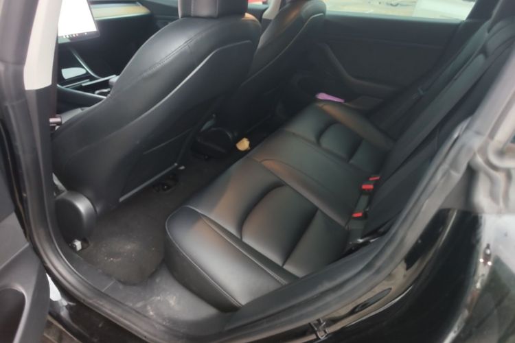 Tesla Model 3 2020 car image #17