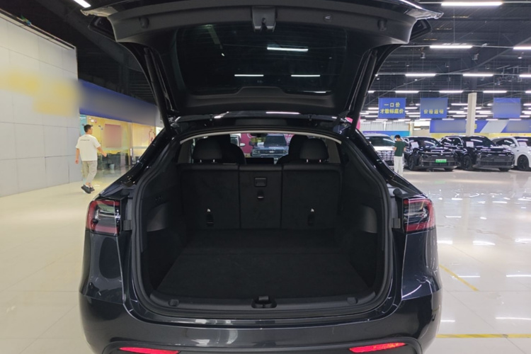 Tesla Model Y 2025 car image #21