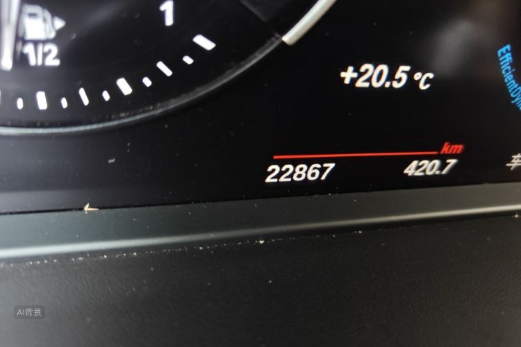 BMW X1 2021 car image #14