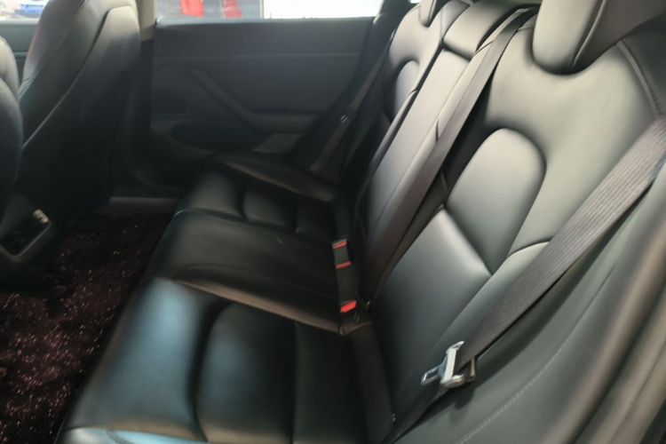 Tesla Model 3 2020 #17 Tesla Model 3 2020 car image #17