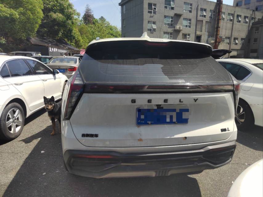 GEELY Boyue L 2023 car image #5