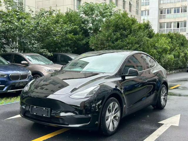 Tesla Model Y 2021 car image #12