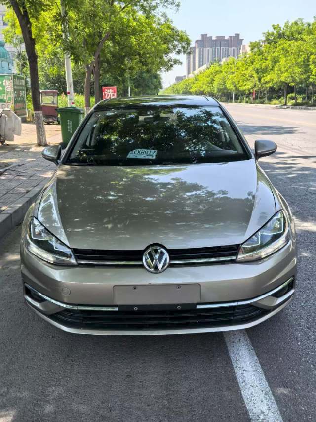 Volkswagen Golf 2019 car image #2