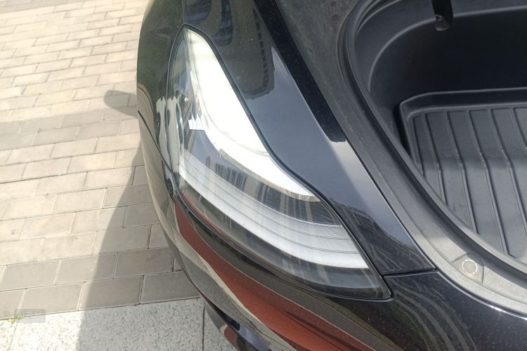 Tesla Model 3 2020 car image #8