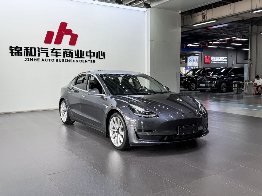 Tesla Model 3 2020 car image #3