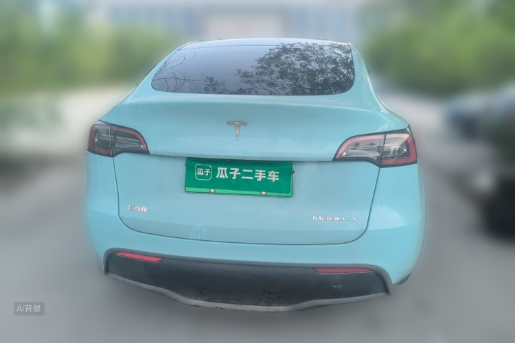 Tesla Model Y 2022 car image #6