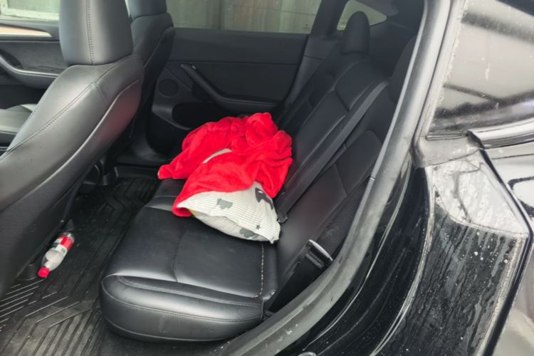Tesla Model Y 2023 car image #19