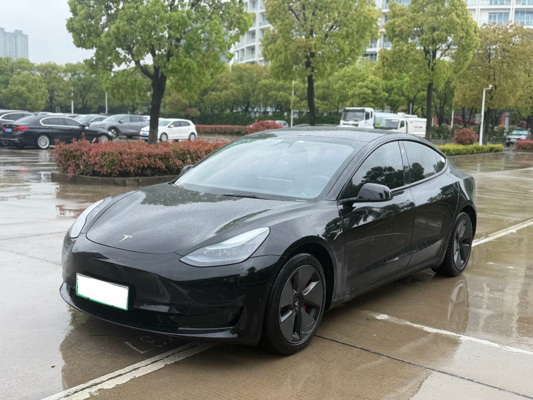 Tesla Model 3 2023 car image 