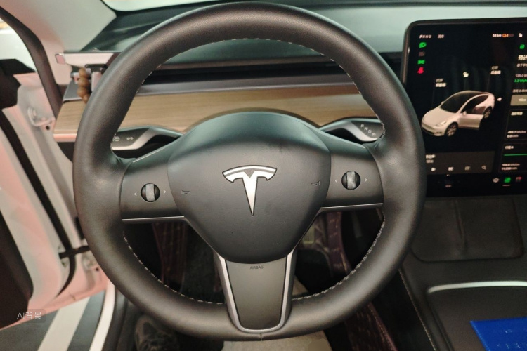 Tesla Model Y 2021 imagem de carro #12