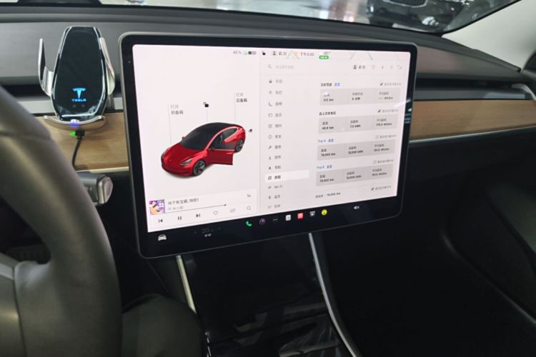 Tesla Model 3 2020 car image #13