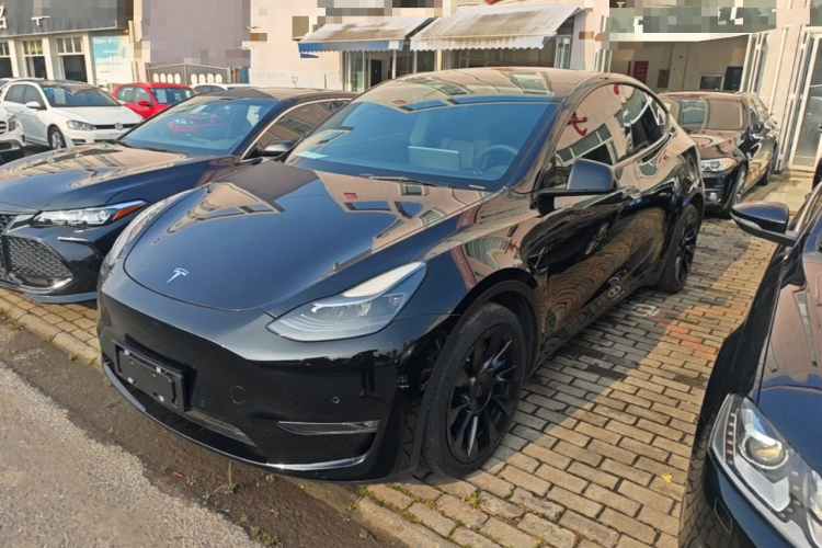 Tesla Model Y 2021 #2 Tesla Model Y 2021 car image #2