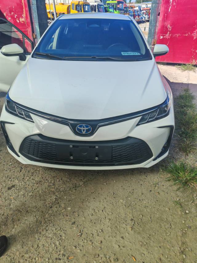 Toyota Corolla 2024 изображение автомобиля 