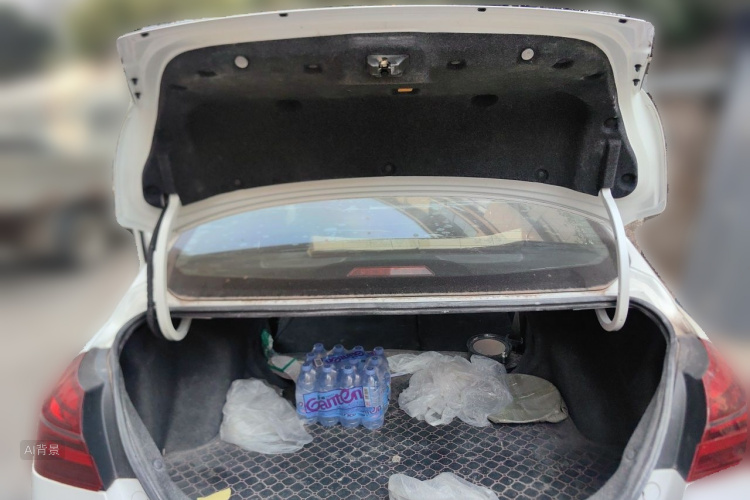 GEELY Emgrand 2019 car image #21