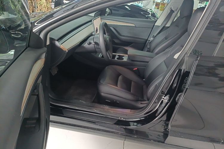 Tesla Model 3 2021 car image #16