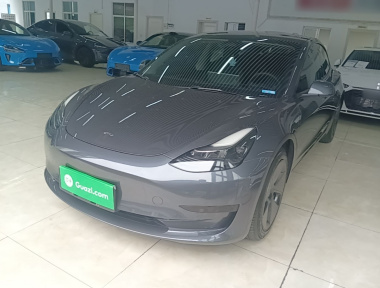 Tesla Model 3 2022 Tesla Model 3 2022 car image