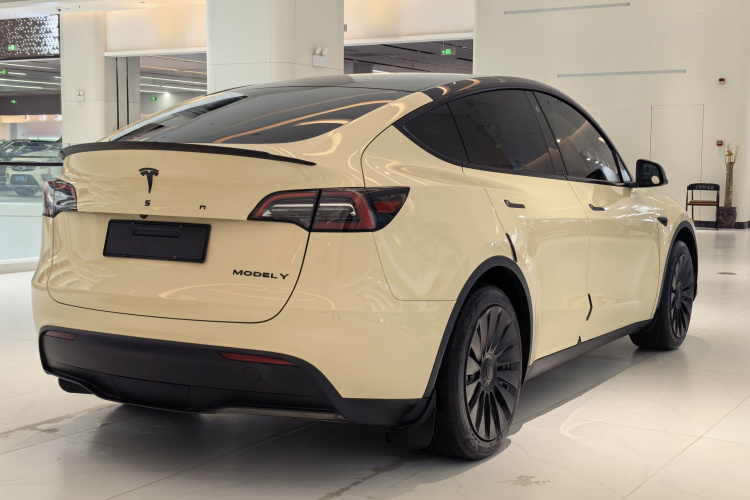 Tesla Model Y 2023 car image #7